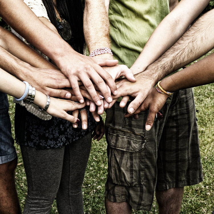 Camaraderie